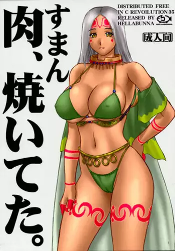 [Hellabunna (Iruma Kamiri)] Comic Market 35 Suman Niku Yaiteta (Illusion A-GA) [Color]