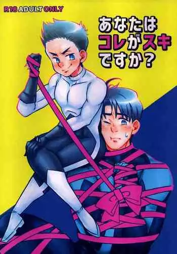 (TEAM UP 13) [Tsubure Manjuu Kowai (Zatou)] Anata wa Kore ga Suki desu ka? (Batman)