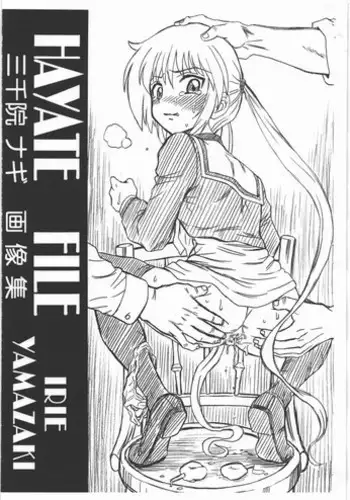 (SC46) [RAT TAIL (IRIE YAMAZAKI)] HAYATE FILE Sanzenin Nagi Gazoushuu (Hayate no Gotoku!)
