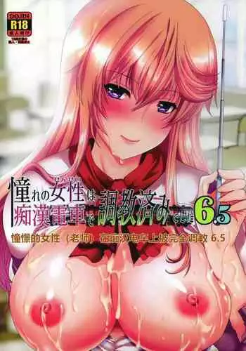 [Neko to Hato (Hatoya Mameshichi)] Akogare no Josei (Sensei) wa Chikan Densha de Choukyouzumi Deshita 6.5 [Chinese] [rongjx个人中文机翻润色]